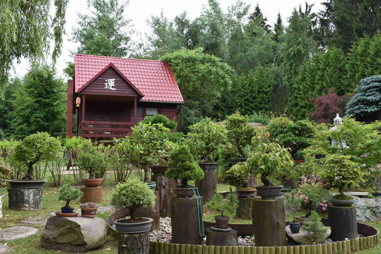 Ogrod Shinrin Yoku Odpoczynek W Lesie Villa Srokowo Buitenkant foto